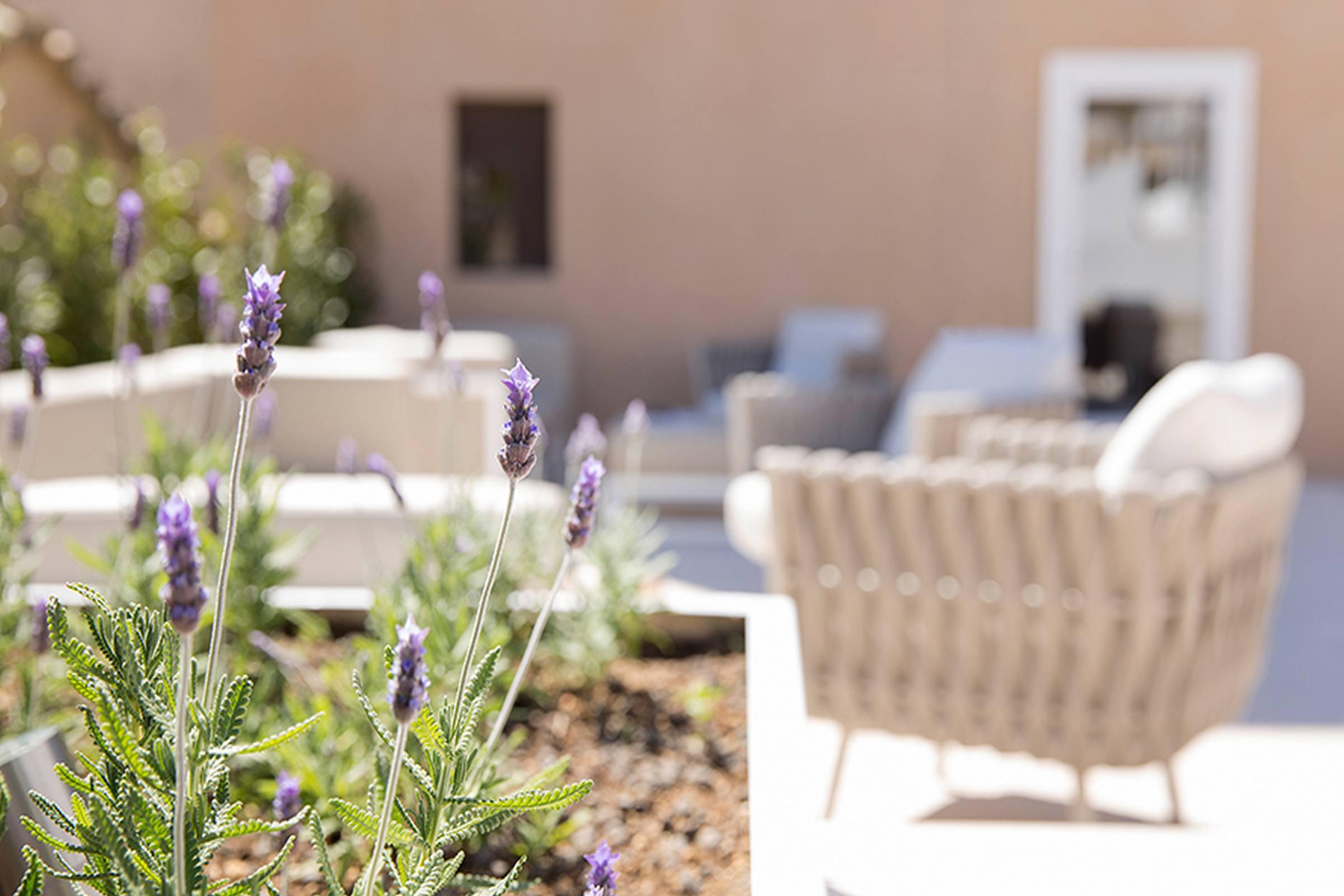 Convent De La Missio - Grand Luxury Boutique Hotel, Adults Only Palma de Mallorca Luaran gambar